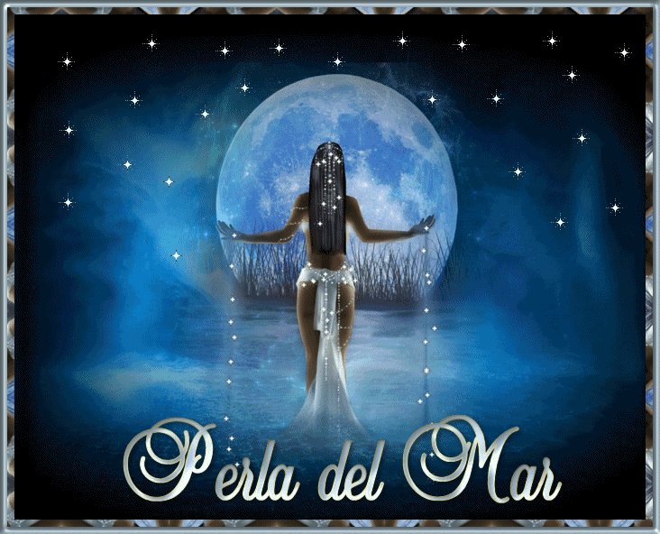  photo TAGESTRELLASperla2.gif