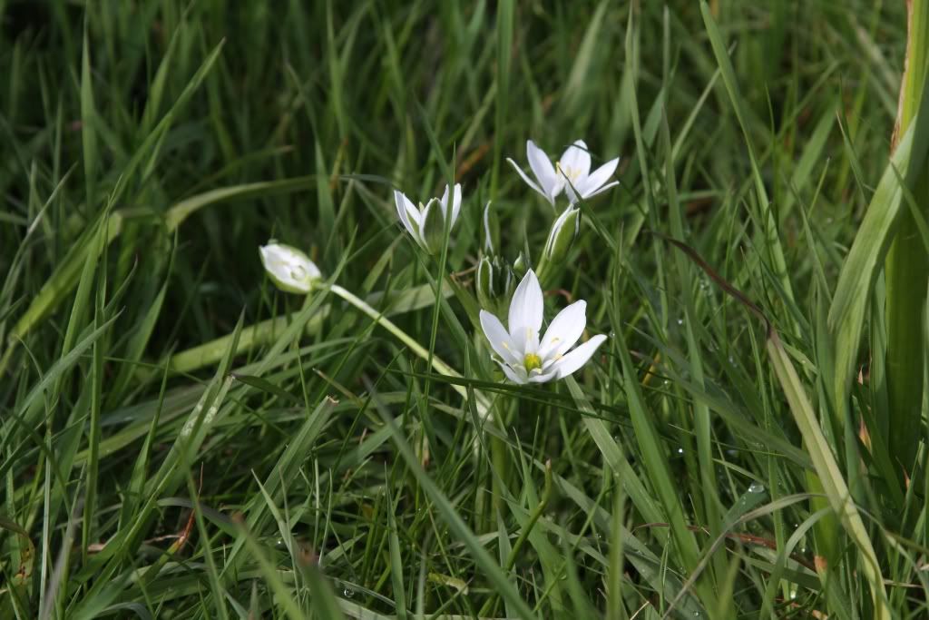 IMG_2151_small.jpg