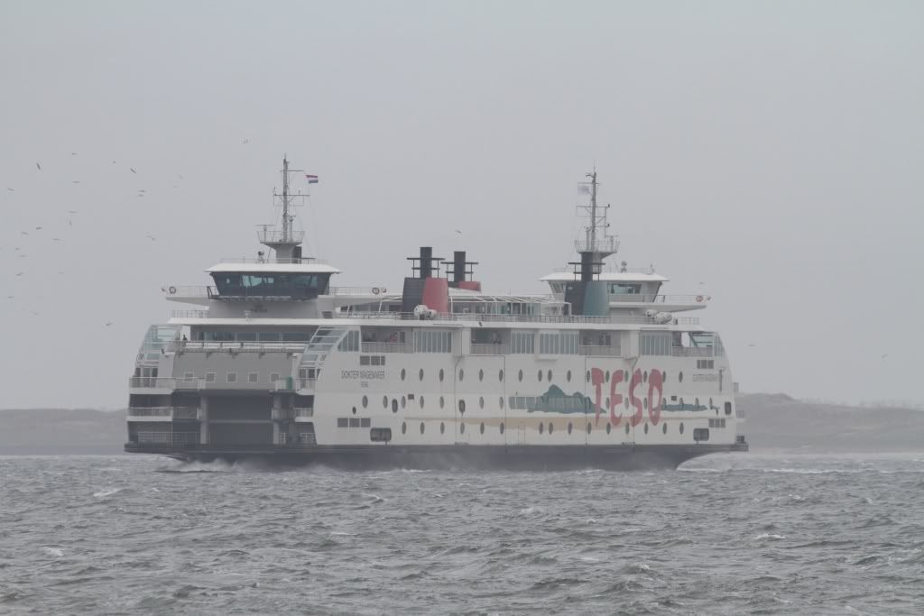 IMG_2495_small.jpg
