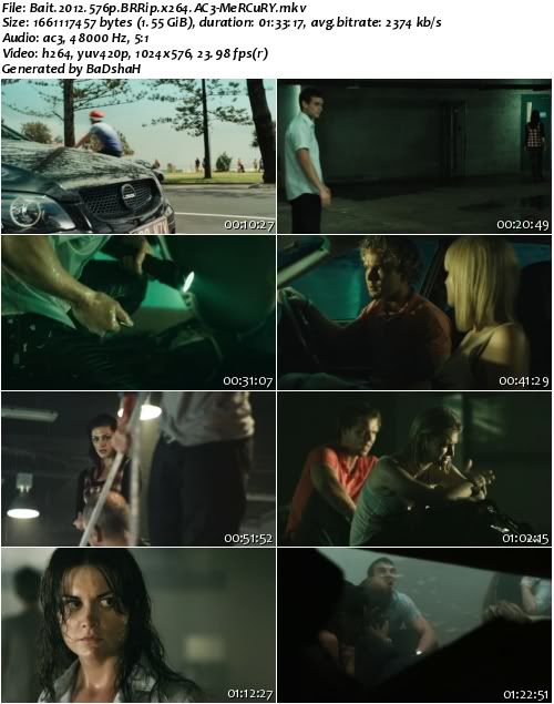 Bait (2012) 576p BRRip x264 AC3 - MeRCuRY Bait (2012) 576p BRRip x264 AC3 - MeRCuRY