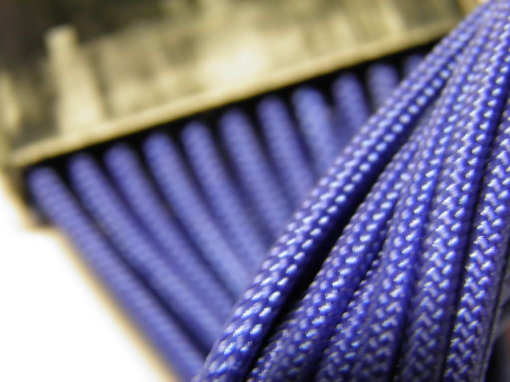 PC270023.jpg