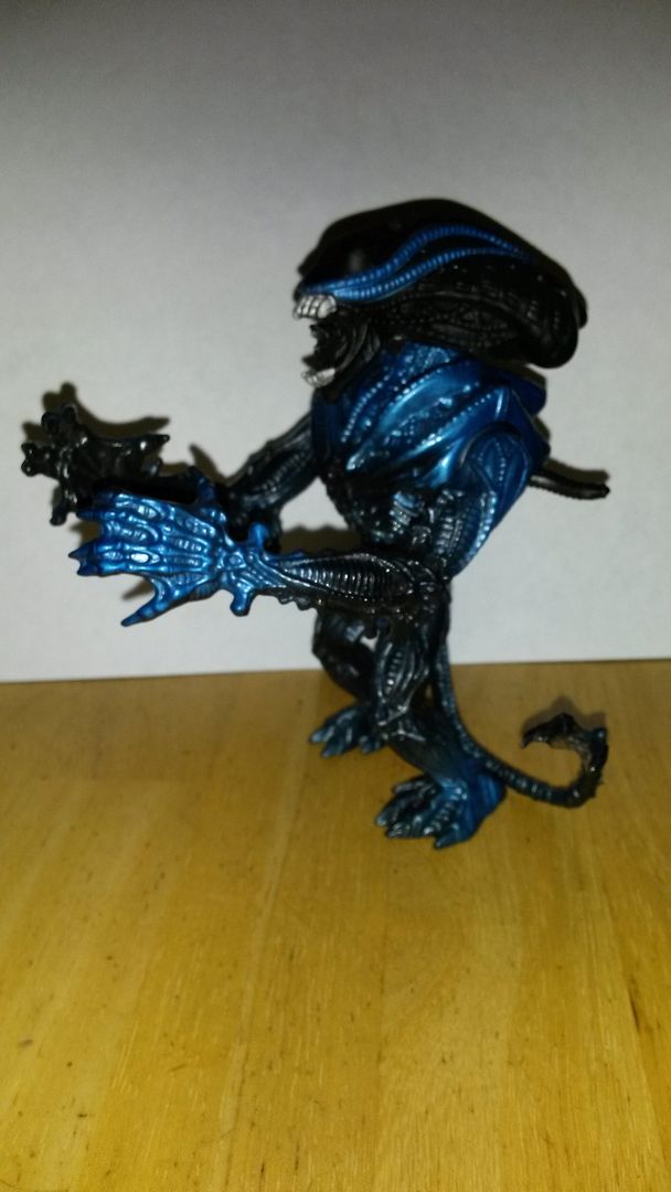 20150318_203042_zpsoxz62wq8.jpg