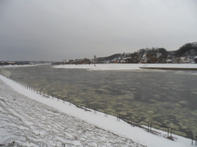 Paveikslėlis