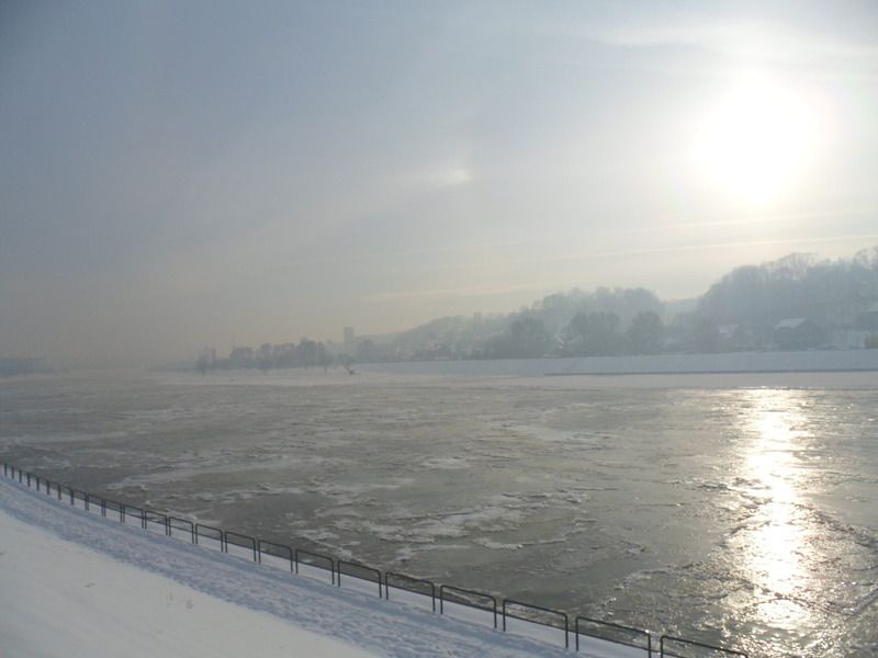 Paveikslėlis