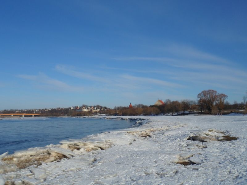 Paveikslėlis