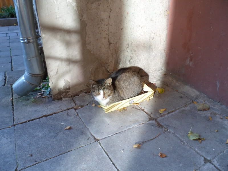 Paveikslėlis