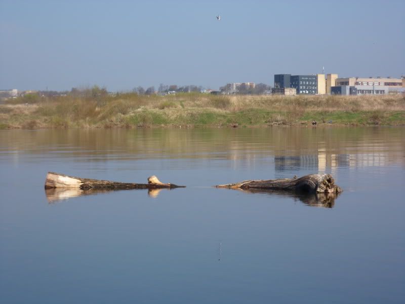 Paveikslėlis