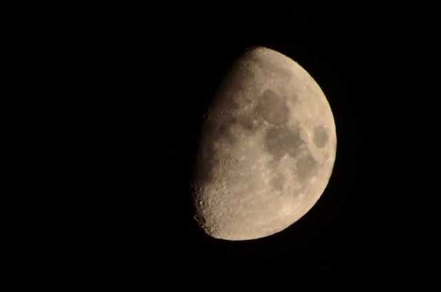 DSC_1178-1.jpg