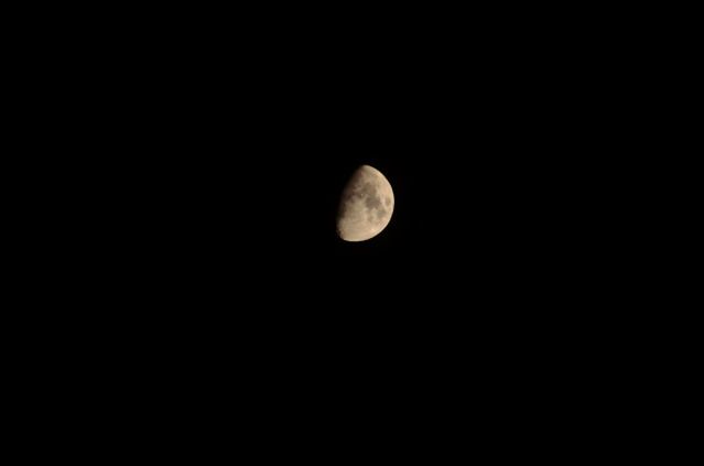 DSC_1179.jpg