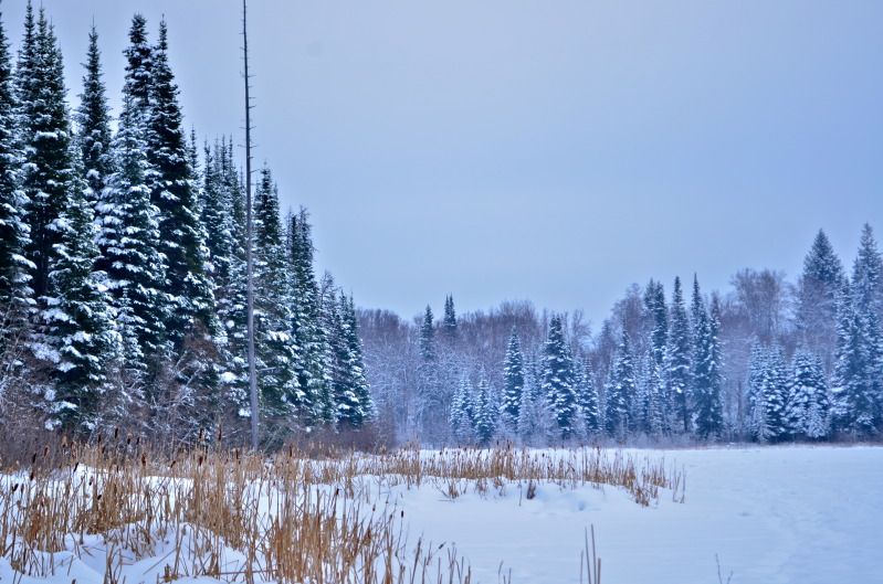 DSC_1414.jpg