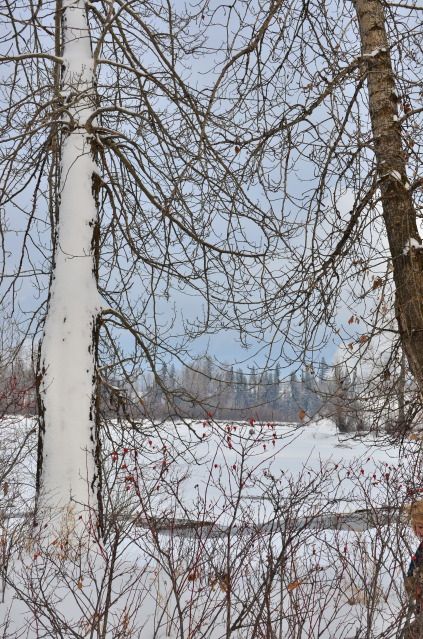 DSC_2209.jpg