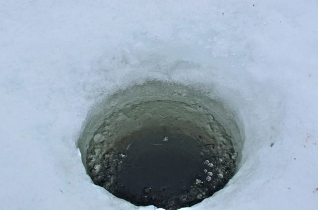 DSC_3006.jpg