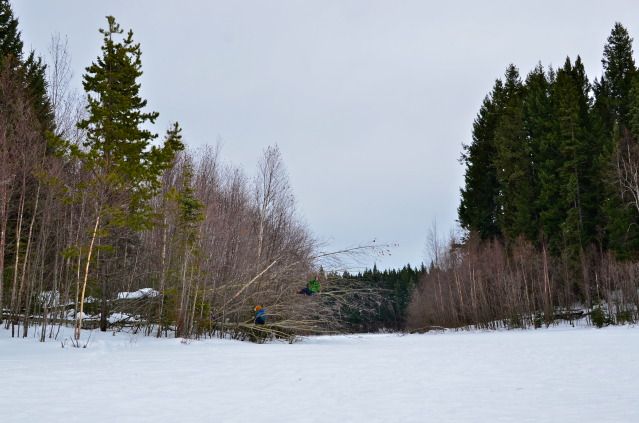 DSC_3059.jpg