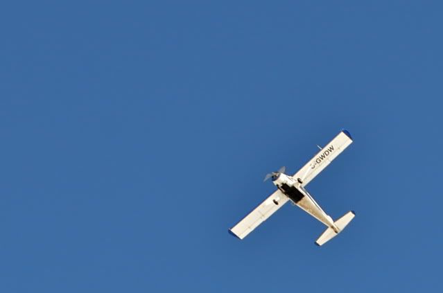 NIK_7697-1.jpg