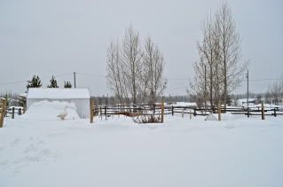 NIK_8317.jpg