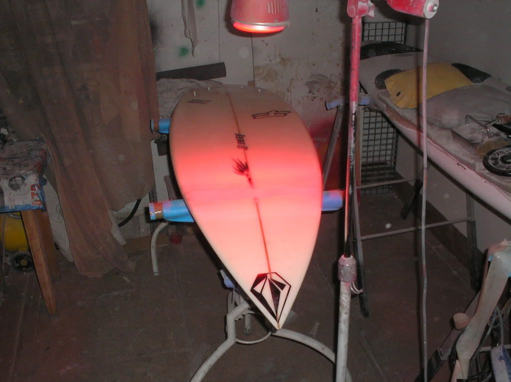 P4160032.jpg