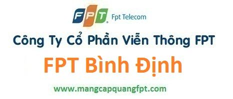 Lắp đặt mạng internet FPT Bình Định