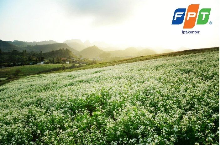 Lĩnh vực công nghiệp được áp dụng vào nông nghiệp tại FPT Mộc Châu