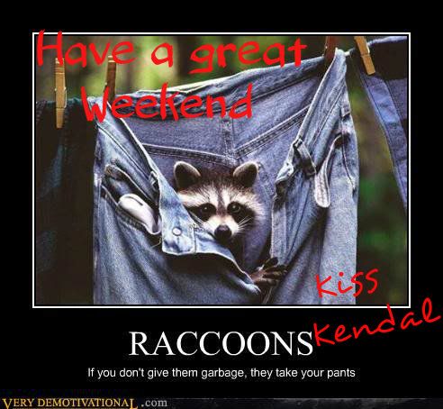 Raccoons