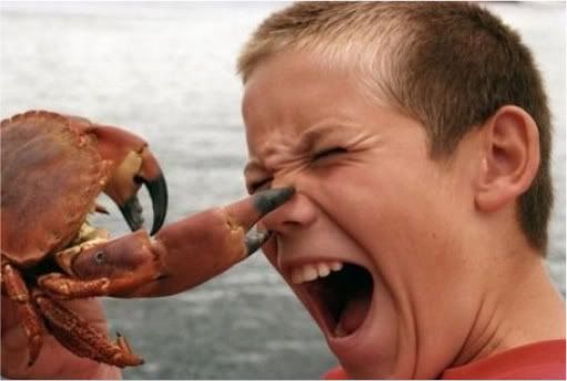 curiosity-curiosity-nosy-demotivational-