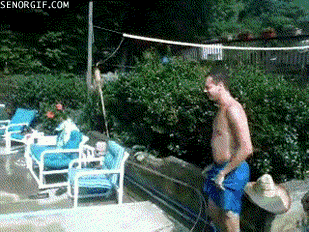 +10 seguro te gustara imagenes graciosas y gifs +10 seguro te gustara imagenes graciosas y gifs