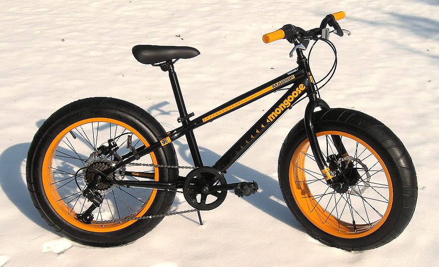 mongoose massif 20