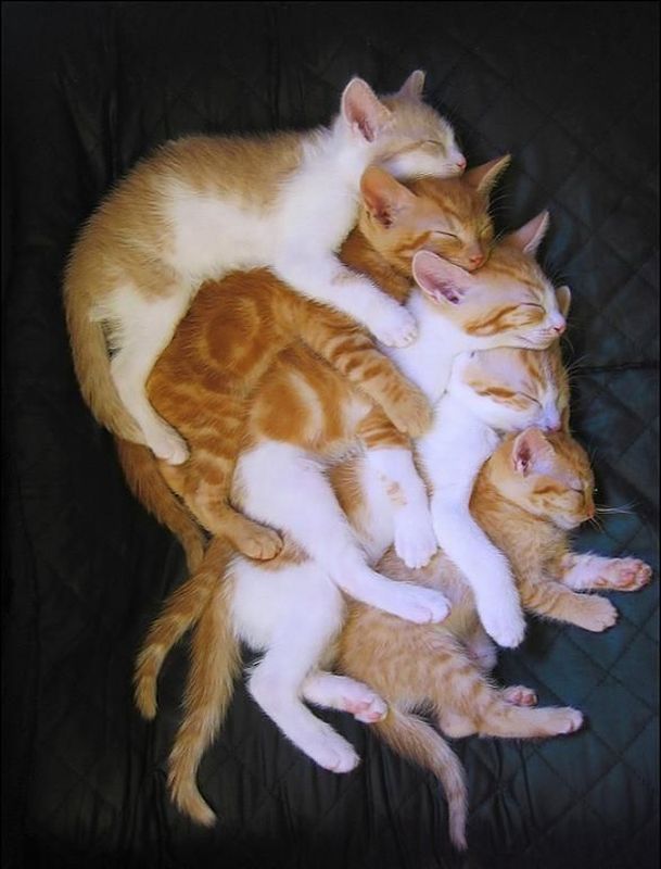 Together_We_Are_Warm-2362.jpg