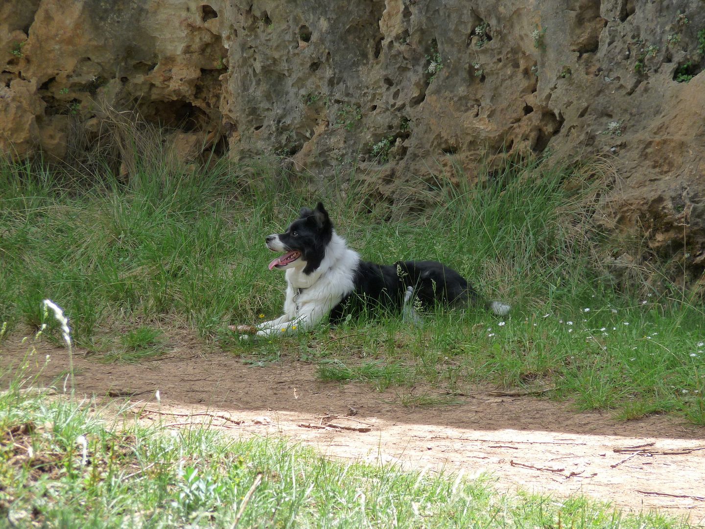 Foto133-1.jpg