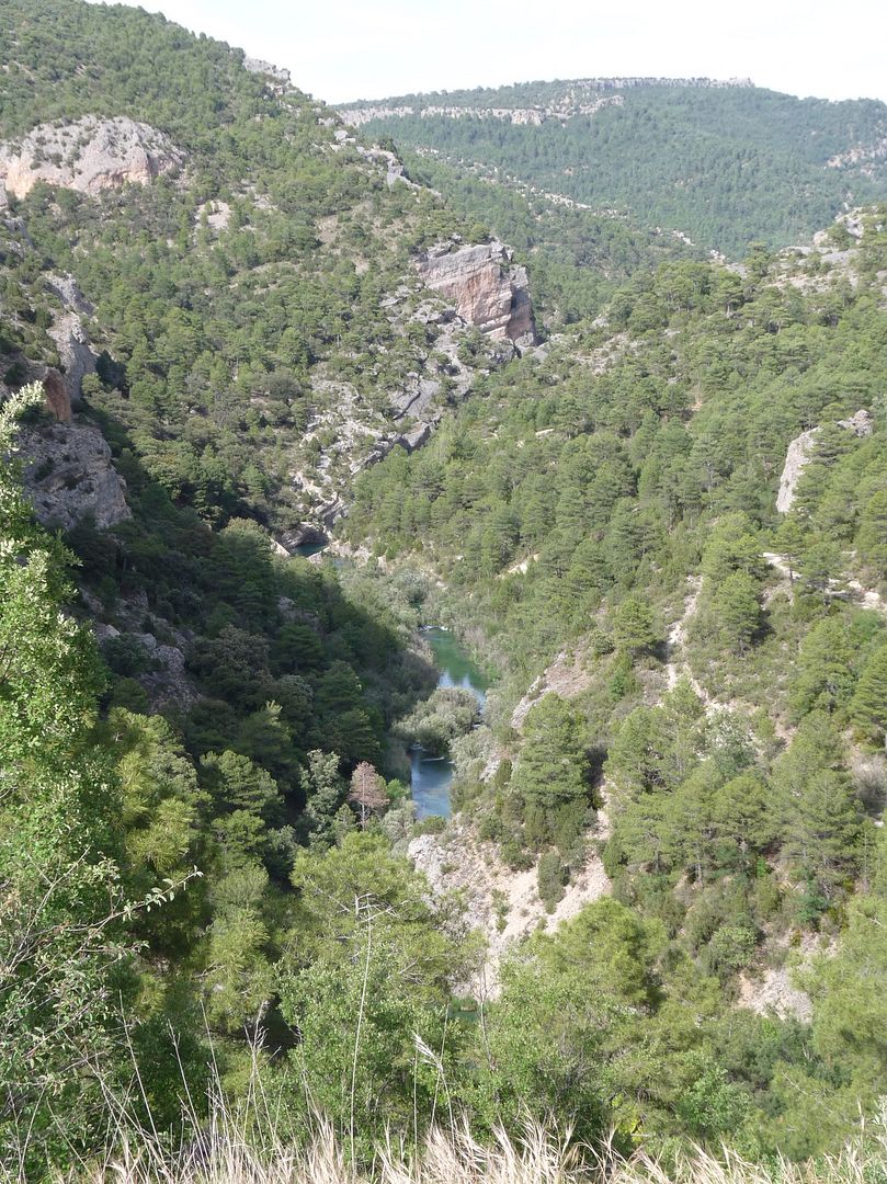 Foto45.jpg