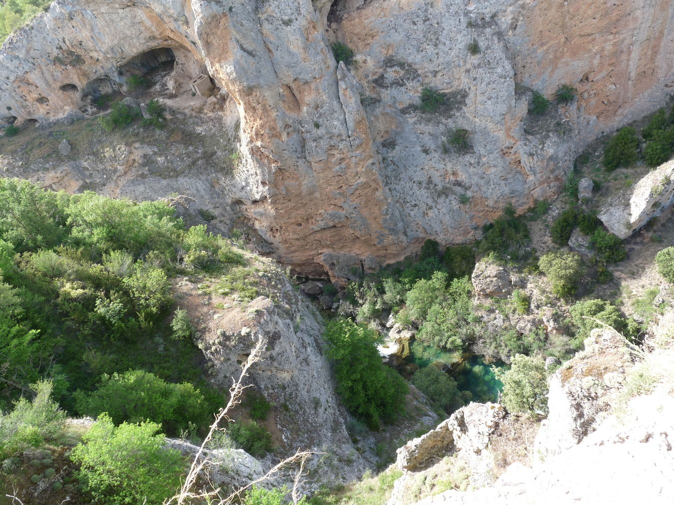 Foto47.jpg
