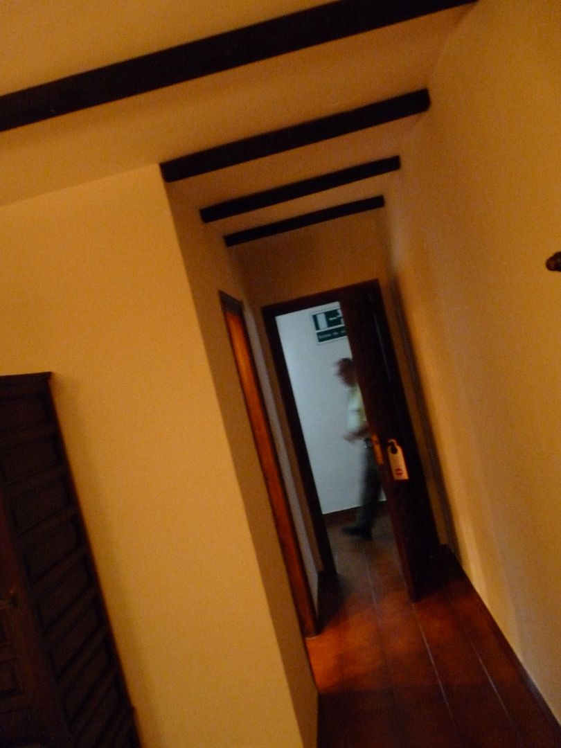 P1070455.jpg