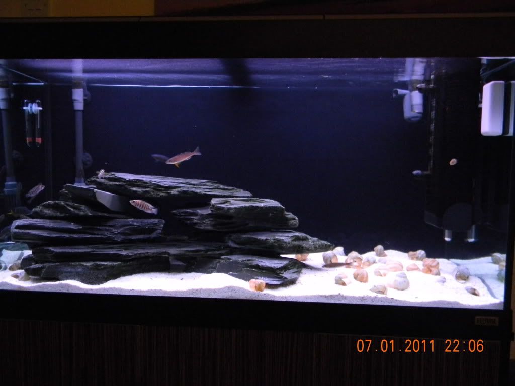 Resized Image