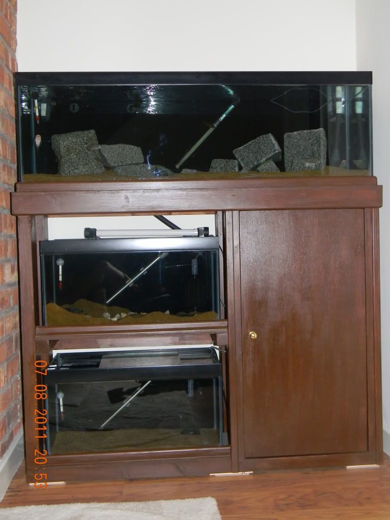 Resized Image