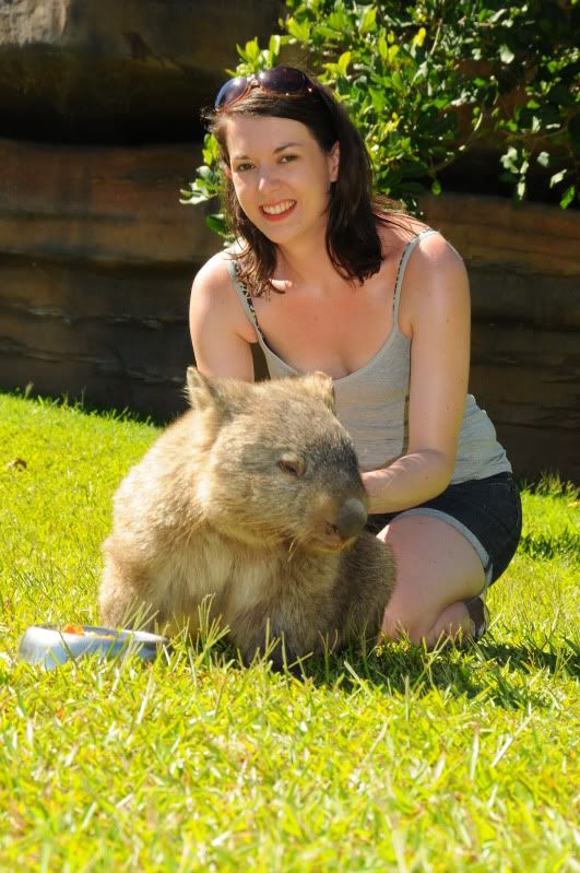 Wombat2.jpg