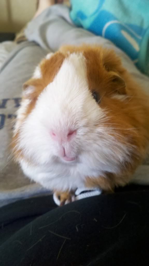 2012-01-30_14-57-18_139.jpg