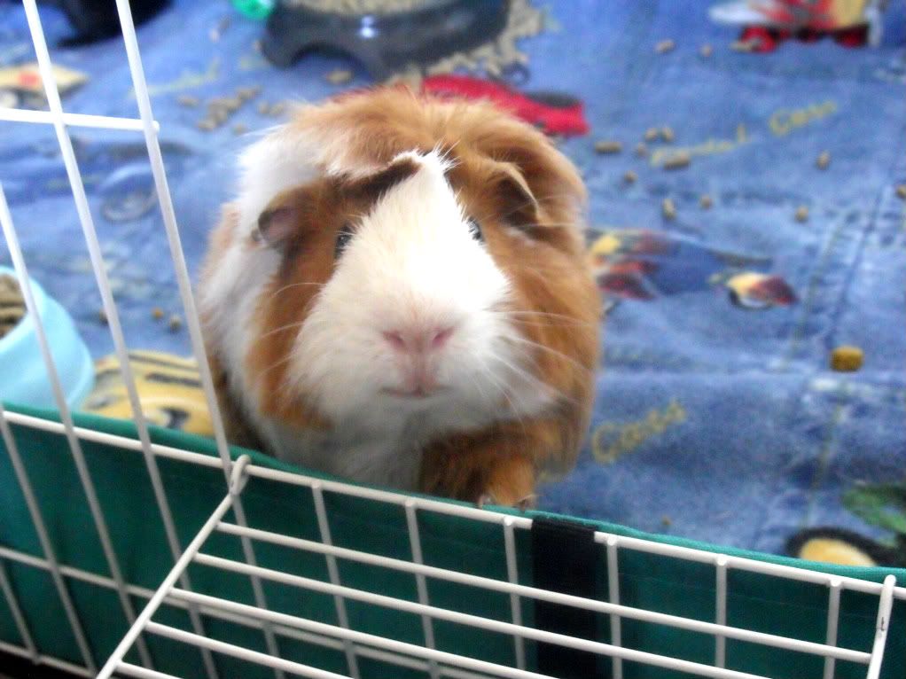 Carrots028.jpg