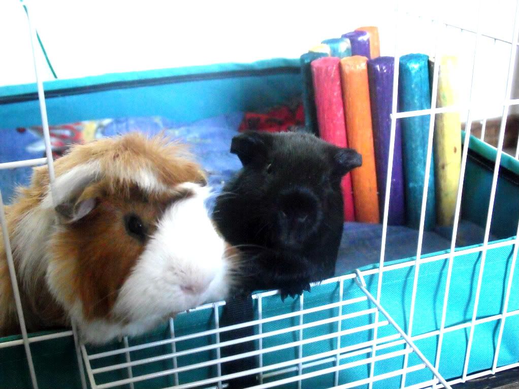Carrots050.jpg
