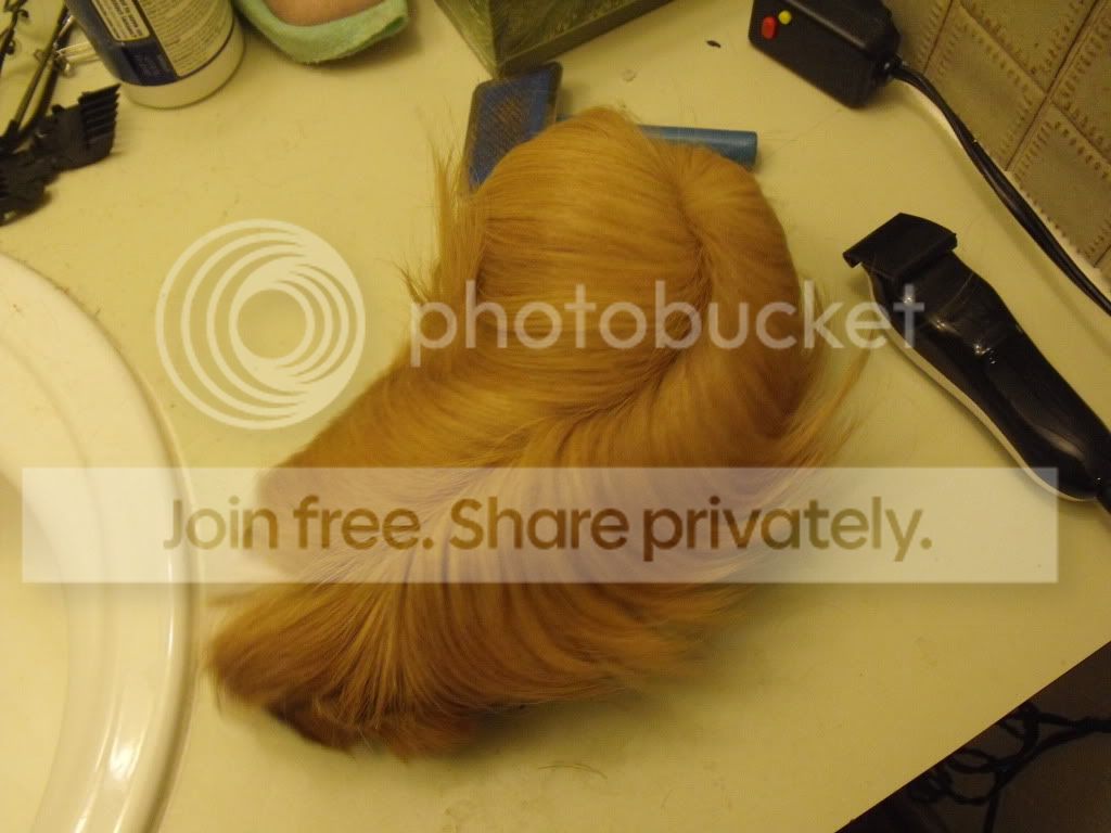 HairCut021.jpg