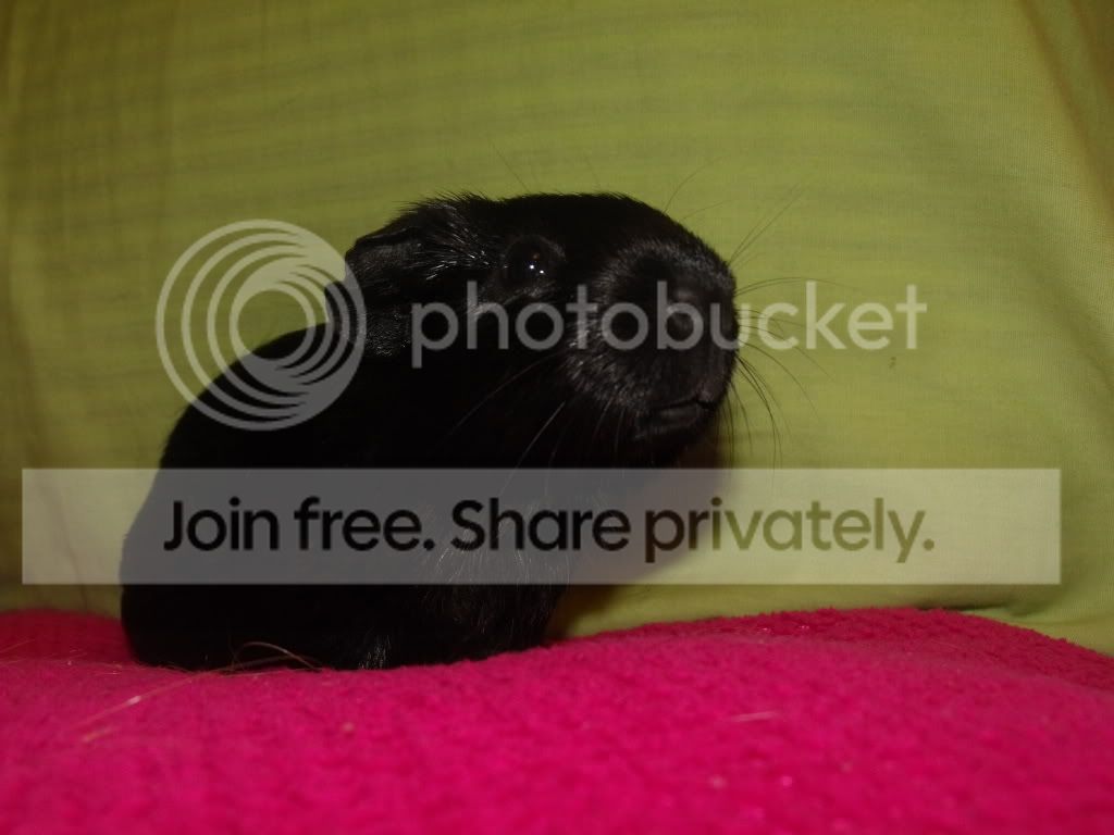 PHOTOSHOOT2038.jpg