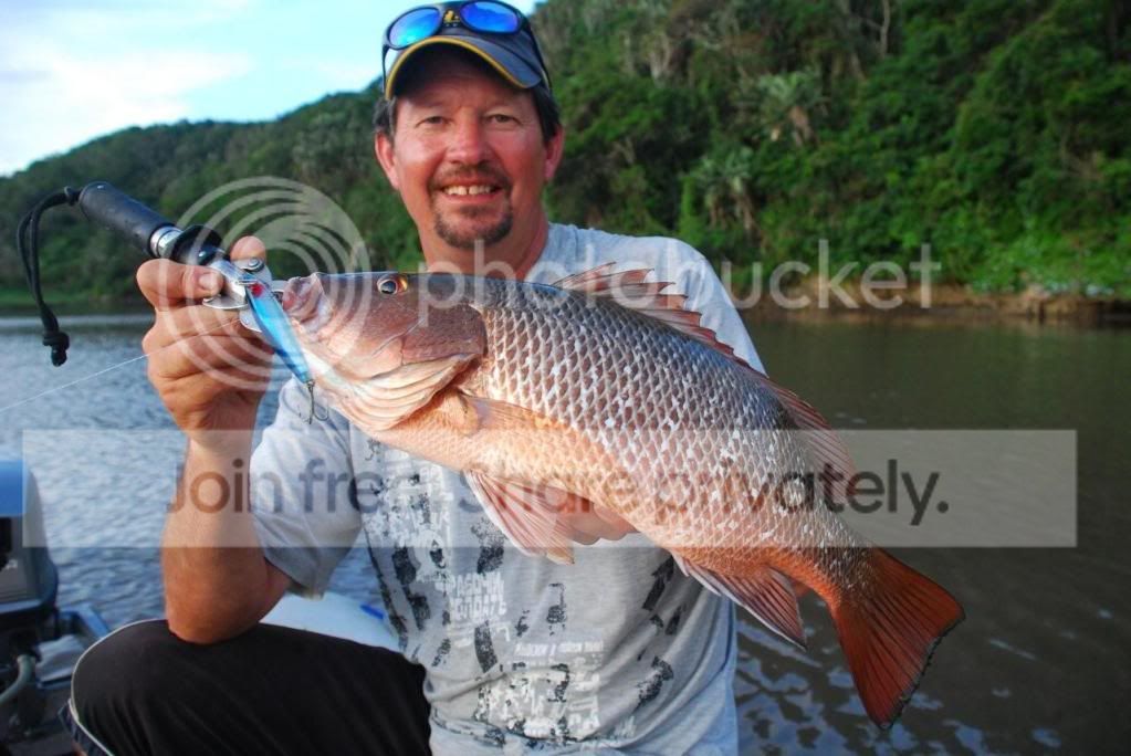 A tribute to the River Snapper.