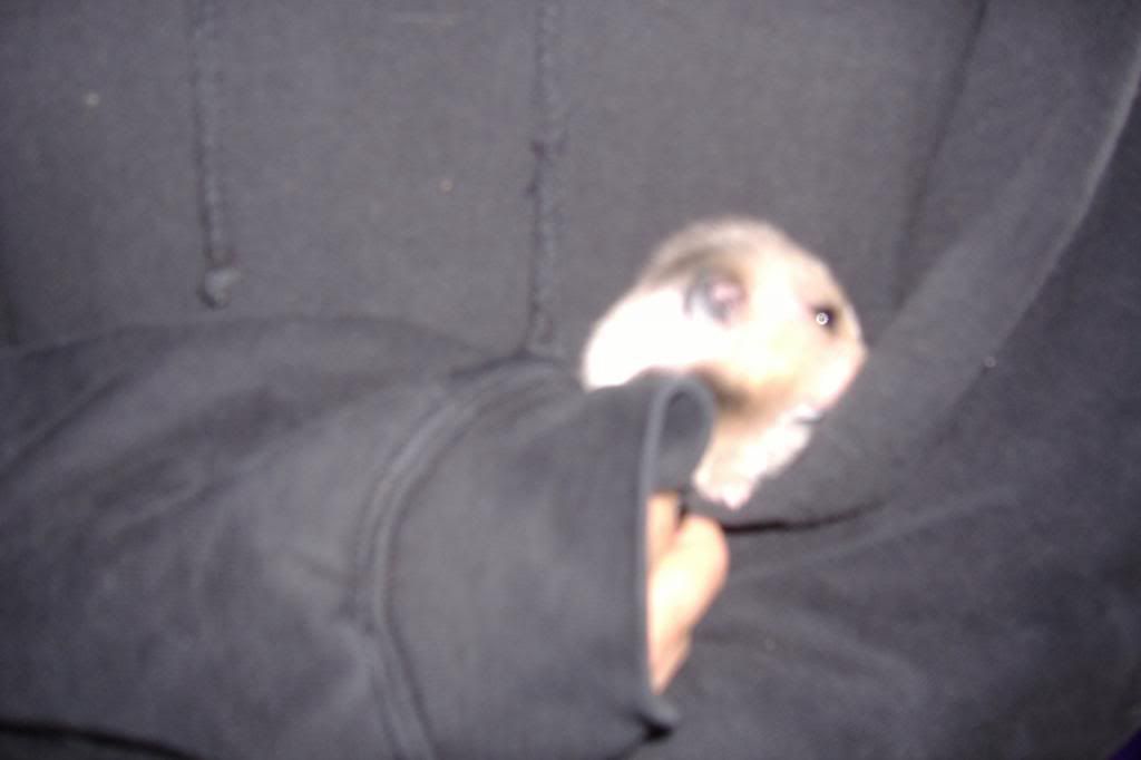 DSCF0353.jpg