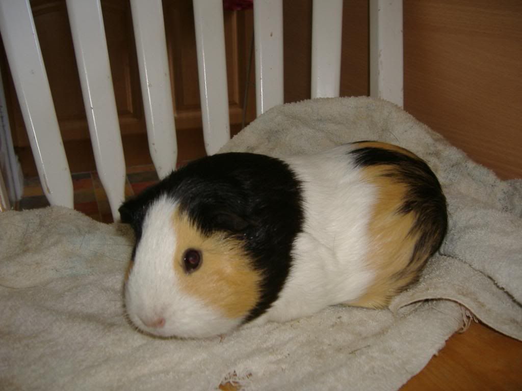 DSCF1333.jpg