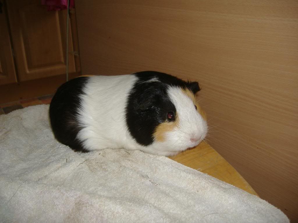 DSCF1337.jpg