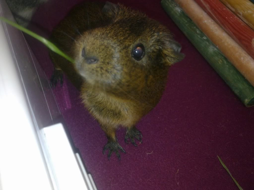 Image0608.jpg