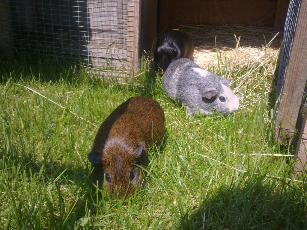 Image0628.jpg