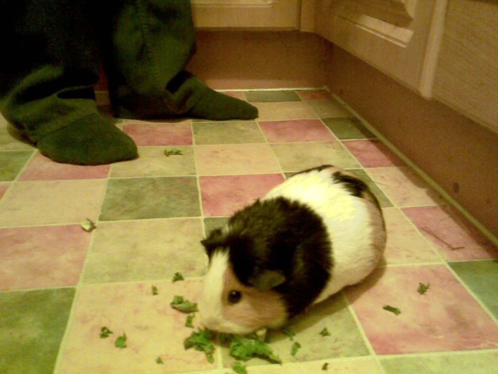 Image071.jpg