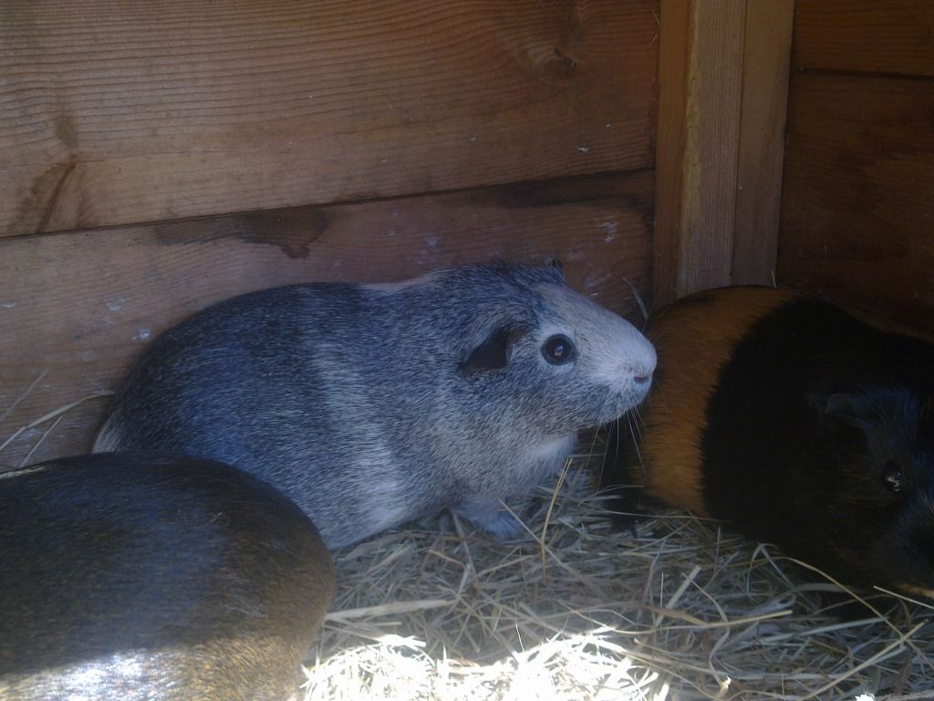 Image0723.jpg