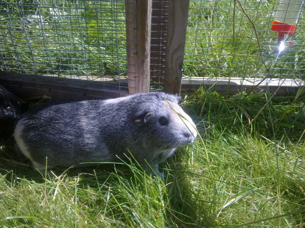 Image0728.jpg