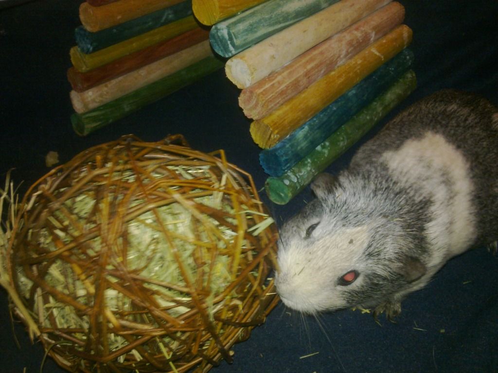 Image0743.jpg