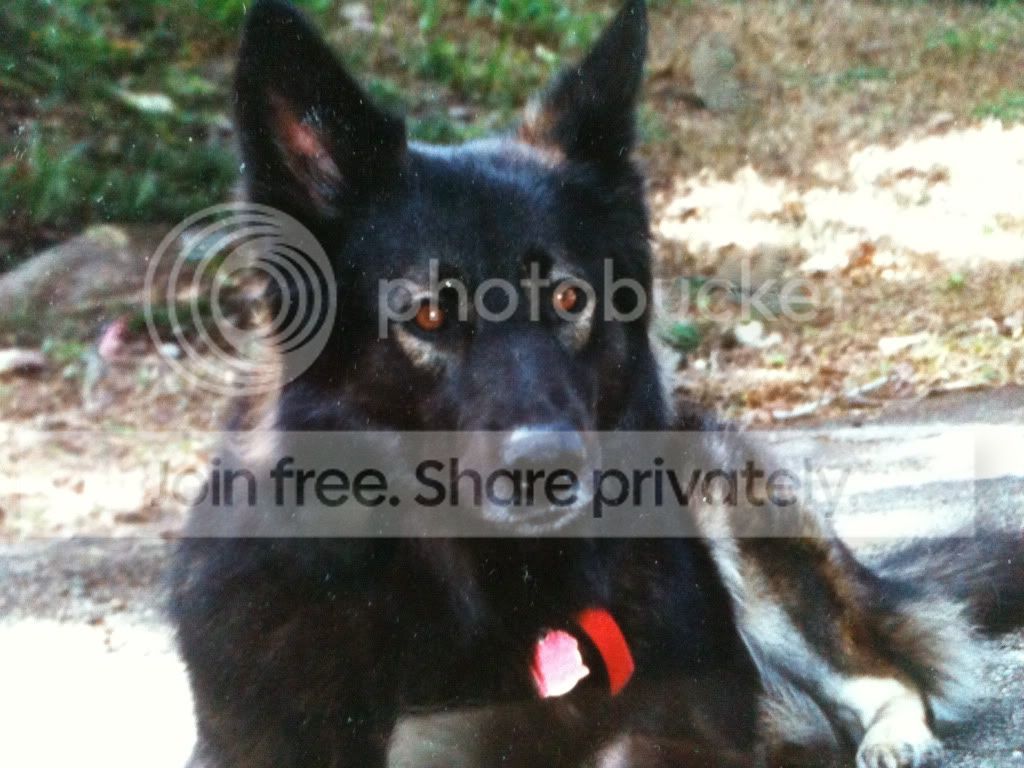 https://i1236.photobucket.com/albums/ff460/Liliana_Treeman/IMG_0043.jpg